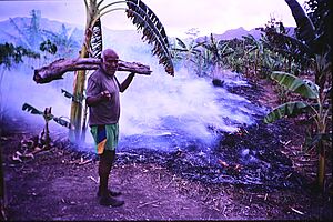 André Theain Hiouen tient un tronc sur l'épaule devant le brûlis de son champ d'ignames.
